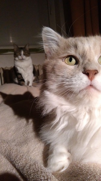 IMAG0094